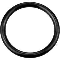 Black Replacement O-Ring, Plain Absolute Business Supply