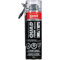 Mousse d'installation de portes & fen&ecirc;tres Quad Mousse, Canette a&eacute;rosol, Havane Absolute Business Supply