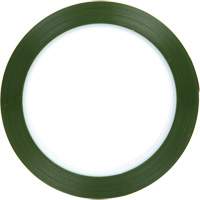 Polyester Tape, Polyester, 25.4 mm (1") W x 66 m (216') L, 1.9 mils Thick Absolute Business Supply