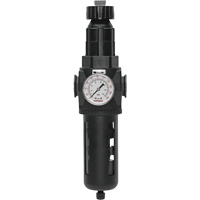 Modulair 400 Filter/Regulator with Manual Drain, 3/4" NPT, 200 psi, 9.1 fl. oz. Capacity Absolute Business Supply