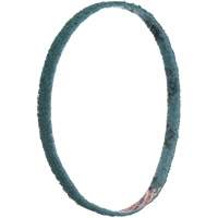 Scotch-Brite Surface Conditioning File Belts Absolute Business Supply