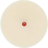 Scotch-Brite Moulding Adhesive & Stripe Removal Disc, 7501, 4" Dia. Absolute Business Supply