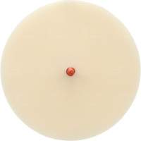 Scotch-Brite Moulding Adhesive and Stripe Removal Disc 7502, 6" Dia. Absolute Business Supply