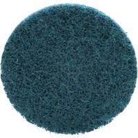 Disque de conditionnement de surface Scotch-Brite Roloc, 2" dia. Absolute Business Supply