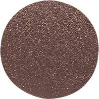 Disque de ponçage pour le bois, 12" dia., Grain 60 Absolute Business Supply