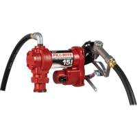 Electric Rotary Vane Pumps