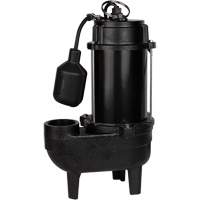 Cast Iron Sewage Pump, 120 V, 9.5 A, 6000 GPH, 1/2 HP Absolute Business Supply