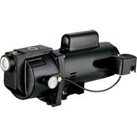 Dual Voltage Cast Iron Shallow Well Jet Pump, 115 V/230 V, 1260 GPH, 1 HP Absolute Business Supply