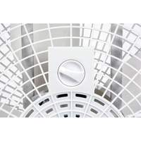 Box Fan, Commercial, 3 Speed, 20" Diameter Absolute Business Supply