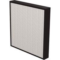 AeraMax&reg; Pro AM3 & AM4 2" True HEPA Filter, Box, 13.75" W x 2.25" D x 14.38" H Absolute Business Supply