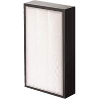 AeraMax&reg; Pro AM2 1-3/4" True HEPA Filter, Box, 7.38" W x 1.88" D x 12.88" H Absolute Business Supply