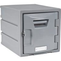 Casier, 12" x 15" x 12", Gris, Assembl&eacute; Absolute Business Supply