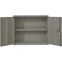 Wall Mounted Cabinet, Steel, 2 Shelves, 30" H x 36" W x 12" D, Grey Absolute Business Supply