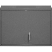 Armoire murale, 27" h x 29-7/8" la x 13-11/16" p, 2 tablettes, Acier, Gris Absolute Business Supply