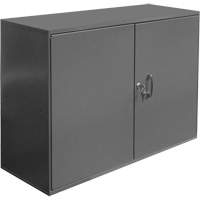 Armoire pour accessoires abrasifs, Acier, 2 tiroirs, 33-3/4" x 11-7/8" x 23-7/8", Gris Absolute Business Supply