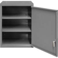 Armoire murale, 27" h x 13-11/16" la x 18" p, 2 tablettes, Acier, Gris Absolute Business Supply