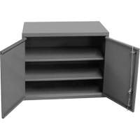 Armoire murale, 27" h x 13-11/16" la x 35-7/8" p, 2 tablettes, Acier, Gris Absolute Business Supply