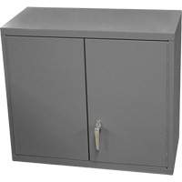 Armoire murale, 27" h x 13-11/16" la x 35-7/8" p, 2 tablettes, Acier, Gris Absolute Business Supply