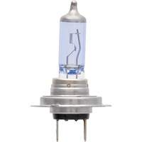 H7 SilverStar&reg; zXe Headlight Bulb, Halogen/HID, 56 W, White Absolute Business Supply