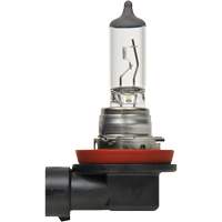 H8 Basic Headlight Bulb, Halogen, 35 W, Off White Absolute Business Supply