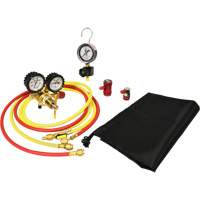 Automotive A/C Nitrogen Leak Test Kit with Regulator Absolute Business Supply