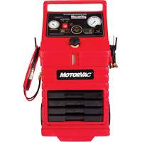 CarbonClean 245 Gasoline Engine System Absolute Business Supply