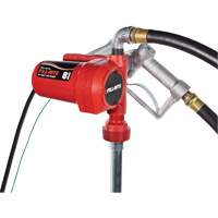 Pompe de transfert de carburant 12 V CC avec pistolet Absolute Business Supply