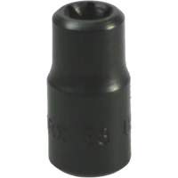 Douille Torx&reg; E-8 Absolute Business Supply