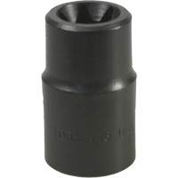 Douille Torx&reg; E-18 Absolute Business Supply