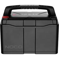 Group 31 120Ah Lithium-Ion LiFePO4 Dual-Purpose Battery Absolute Business Supply