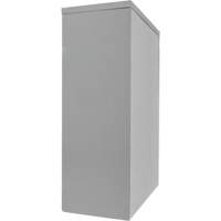 Counter-High Storage Cabinet, Steel, 2 Shelves, 42" H x 30" W x 15" D, Grey Absolute Business Supply