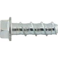 Boulons Wedge Bolts, Acier au carbone, 1/2" x 2" Absolute Business Supply