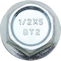 Boulons Wedge Bolts, Acier au carbone, 1/2" x 2" Absolute Business Supply