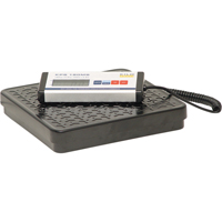 Bench Top Scales