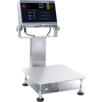 Defender 6000 Washdown Bench Scale, 25 lbs. Capacity, 11-4/5" L x 11-4/5" W Absolute Business Supply