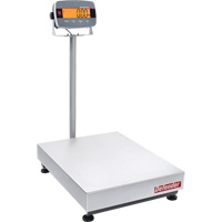 Defender 3000 i-D33 Bench  Scale, 300 lbs. Capacity Absolute Business Supply