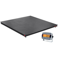 Balances de plancher Defender 3000, Capacit&eacute; de 5000 lb, 4' lo x 4' la Absolute Business Supply