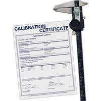 Pied &agrave; coulisse num&eacute;rique avec certificat de traçabilit&eacute;, R&eacute;solution de 0,0005" (0,01 mm), 0" - 12" (0 mm - 300 mm) gamme de mesure Absolute Business Supply