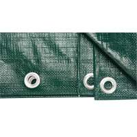 Tarp, Heavy-Duty, Green, 8' x 6' x 9 mils Absolute Business Supply