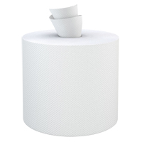 Everest Pro Paper Towel Rolls, 2 Ply, Centre Pull, 500' L Absolute Business Supply