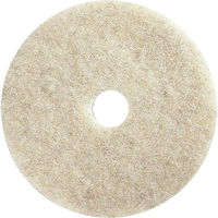 Floor Maintenance Pads, 21", Burnishing, Brown Absolute Business Supply