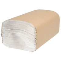 Everest Pro Singlefold Hand Towels, 1 Ply, 10-1/4" L x 9-1/4" W, 250 /Pack Absolute Business Supply