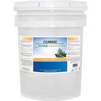 Clearinse Foam Cleaner and Degreaser, 20 L, Pail Absolute Business Supply
