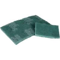 Tampon de r&eacute;curage, 3" lo x 4-1/2" la Absolute Business Supply