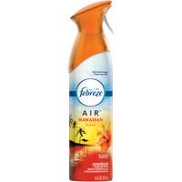 Assainisseur d'air, Aloha Hawaien, Canette a&eacute;rosol Absolute Business Supply
