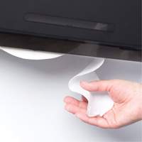Cored JRT Combo Unit Toilet Paper Dispenser, Multiple Roll Capacity Absolute Business Supply