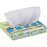 Papiers-mouchoirs pour enfants de Kleenex, 2 pli, 8,4" lo x 5,5" la, 40 feuilles/boîte Absolute Business Supply