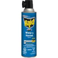 Raid&reg; Wasp & Hornet Bug Killer, 400 g, Solvent Base Absolute Business Supply