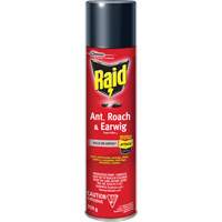 Raid&reg; Ant, Roach & Earwig Insect Killer, 350 g, Solvent Base Absolute Business Supply