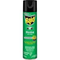 Raid&reg; Home Insect Killer, 350 g, Solvent Base Absolute Business Supply